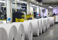 Paper Industry