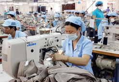 Textiles & Garments