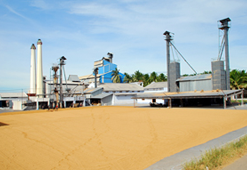 Rice Mills