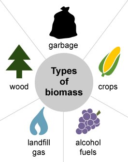 Types of Biomass Fuel Biofuels types