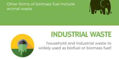 TYPES OF BIO-FUEL by Thermodyne 