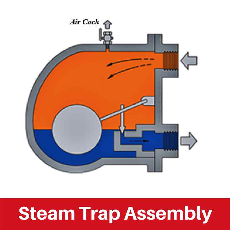 Steam Trap Assembly