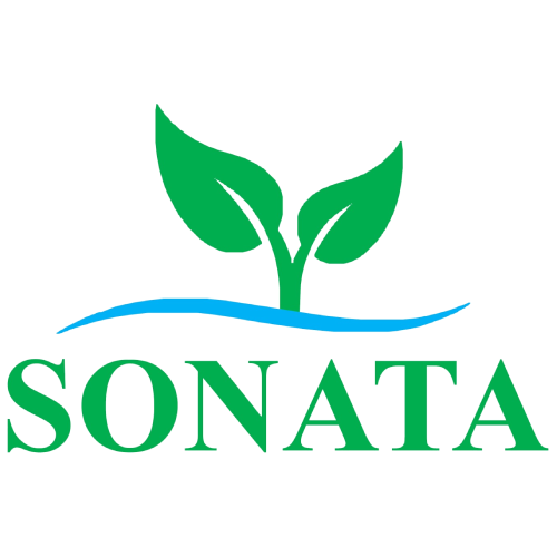 sonata