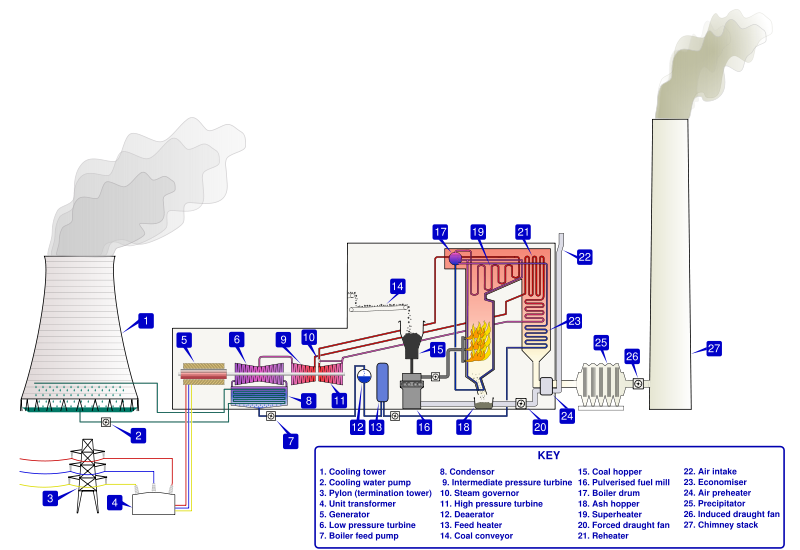 biomass plant model