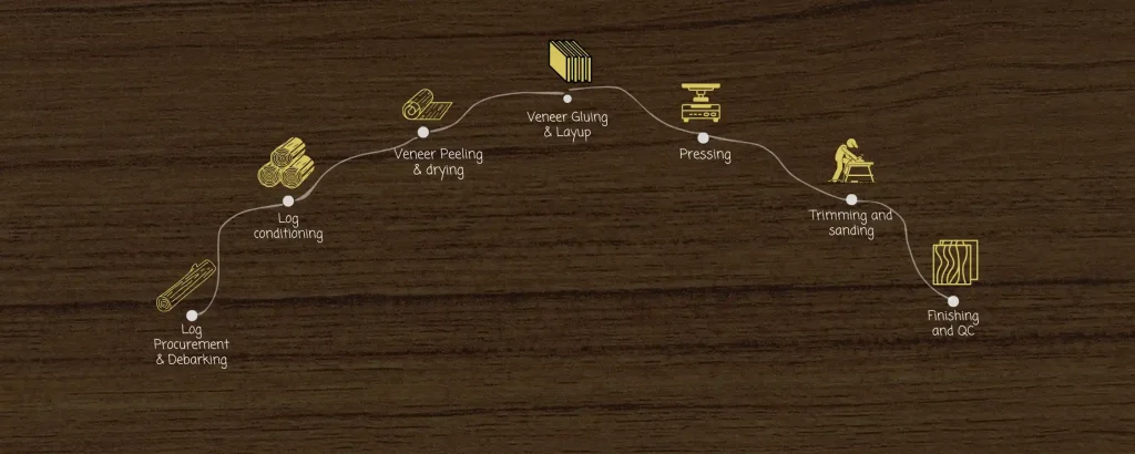 Plywood industry application of Thermodyne boilers