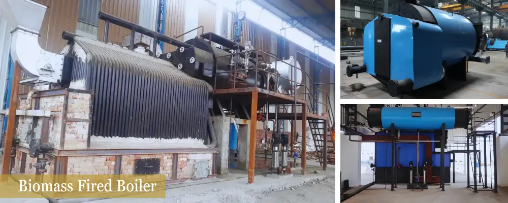 What is a Biomass Boiler? A Complete Beginner’s Guide